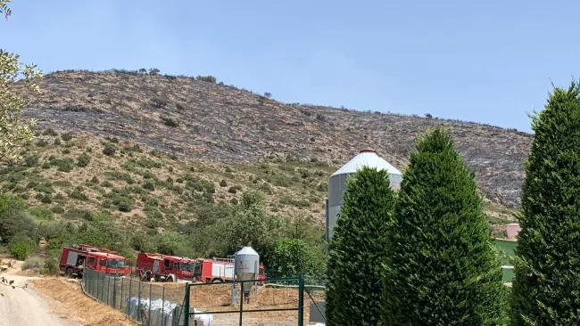 Los incendios de Alòs de Balaguer i Lladurs no afectan a la producción de Semen Cardona