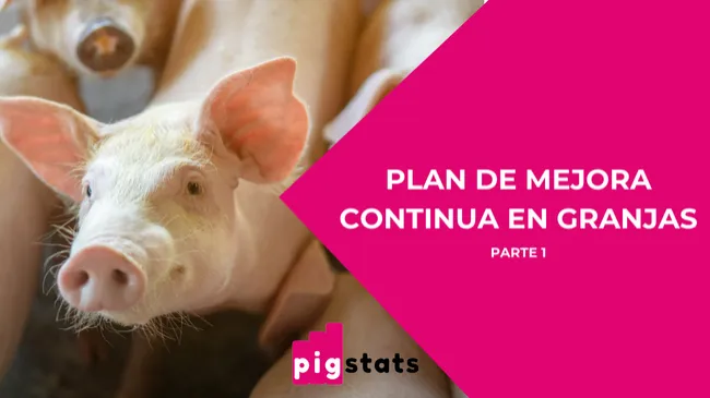 Desarrollo y gestión del programa genético de una granja