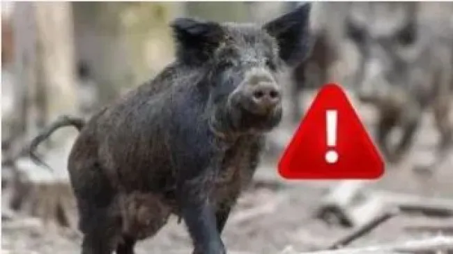 Spécial PPA: rubrique spéciale afin que vous ayez toutes les informa...