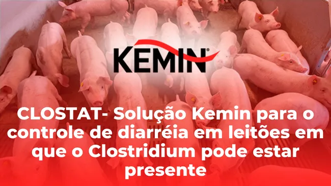 FAQ (Frequently Asked Questions) CLOSTAT- Suíno