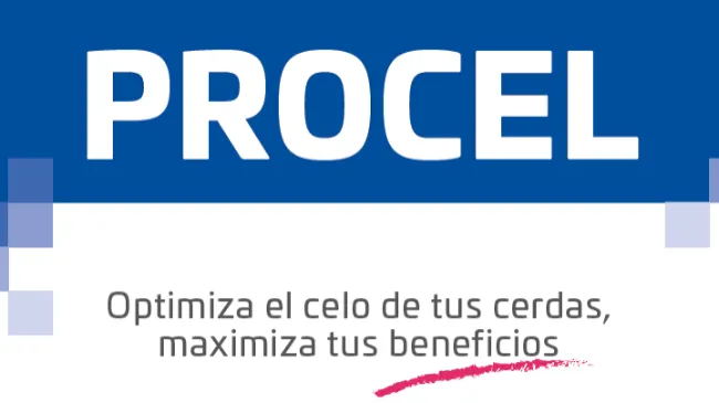 INGASO PROCEL – Optimiza el celo de tus cerdas, maximiza tus beneficios