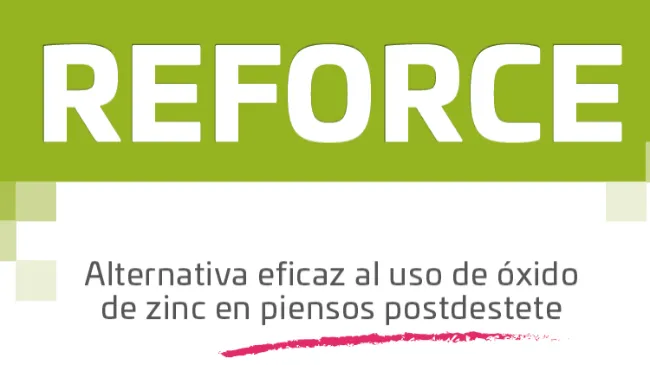 INGASO REFORCE – Alternativa eficaz al uso de óxido de zinc en piensos postdestete