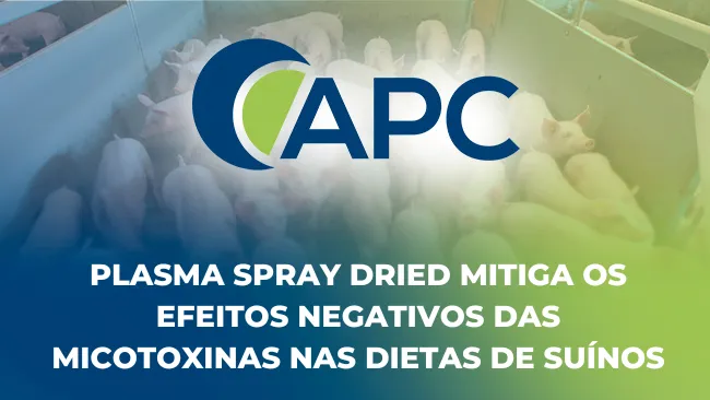 Plasma Spray Dried mitiga os efeitos negativos das micotoxinas nas dietas de suínos