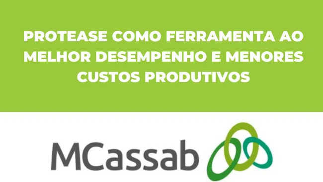 Protease como ferramenta ao melhor desempenho e menores custos produtivos