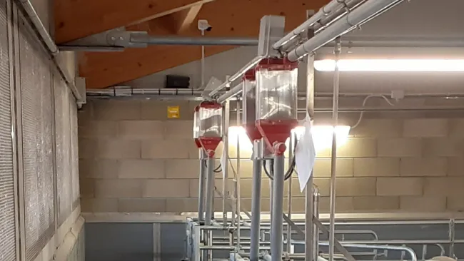 Prova il nuovo DOSINET di GONG SRL