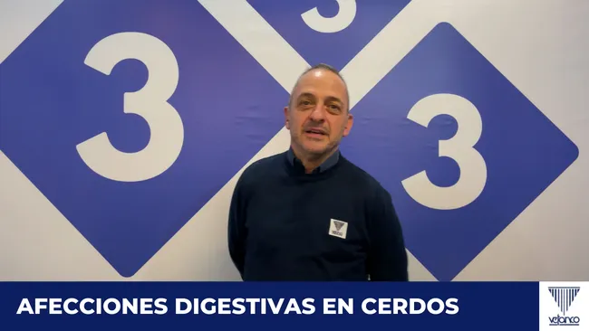 [Cápsula] Desafíos de las enfermedades digestivas en cerdos