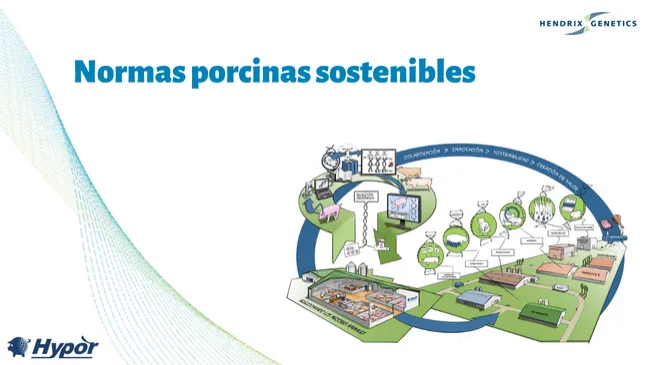 ¿Por qué necesitamos normas porcinas sostenibles?