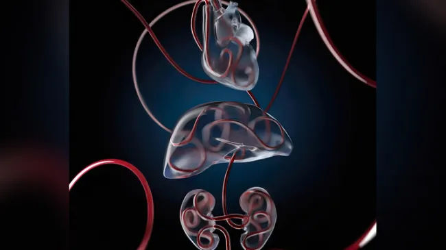 Using a new technology the team developed that delivers a specially de...