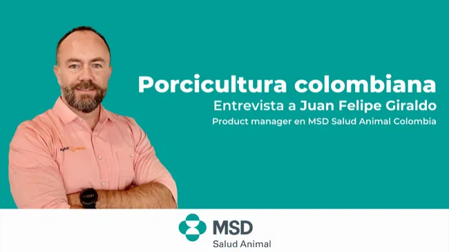 [Entrevista] Horizonte de la porcicultura colombiana, con Juan Felipe Giraldo
