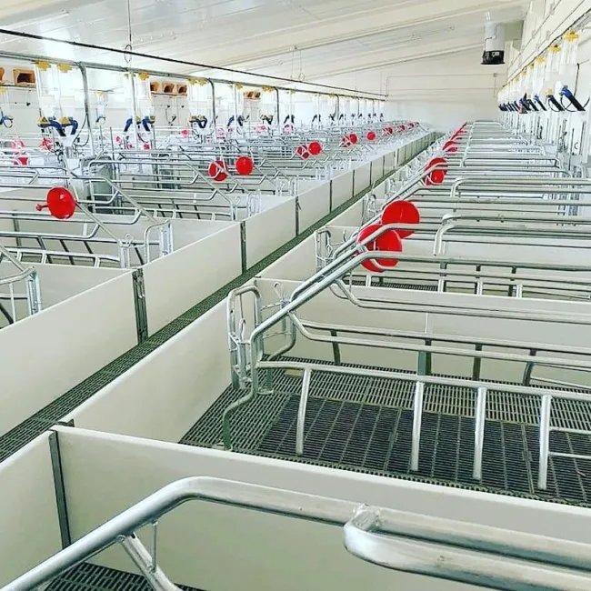 l'importanza di lavare bene il cappanone e disinfettarli, disponiamo d...