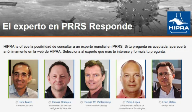 ¿Quieres consultar directamente a un experto sobre PRRS? 