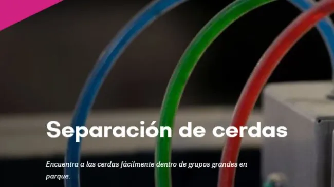 Eficiencia laboral : Herramientas para ayudar a tu equipo a trabajar mejor