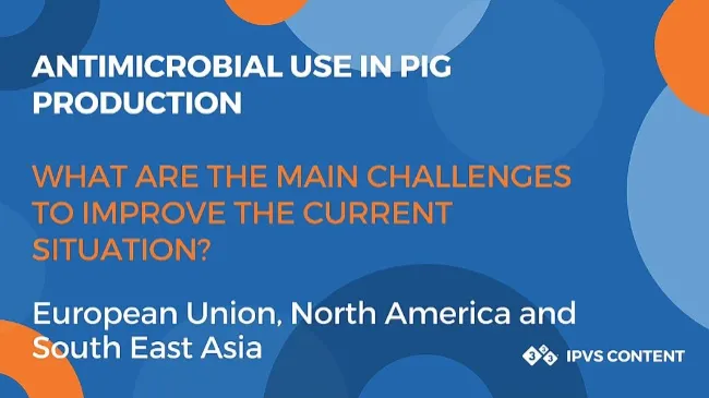 The main challenges to improve the current situation on antimicrobial use in pig production