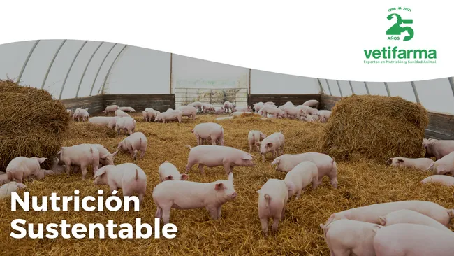 Nutrición de precisión y sustentable 