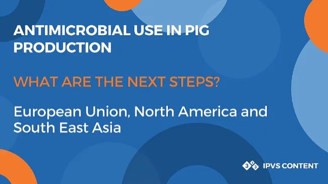  The next steps on antimicrobial use in pig production