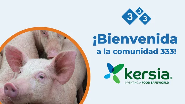 Kersia se une a la comunidad profesional porcina de 333