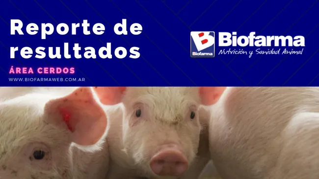 ¿Cuál es el impacto de la densidad animal y de la disponibilidad de comedores en la etapa de recría?
