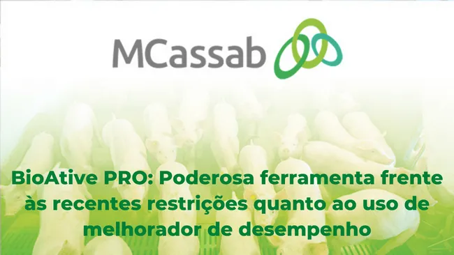 BioAtive PRO: solução alternativa para auxiliar os suínos nos mais diversos desafios