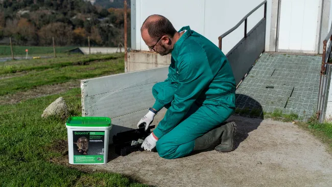 CAPÍTULO 1- CONSEJOS BASF PARA EL CONTROL DE ROEDORES - CONSEJO 17