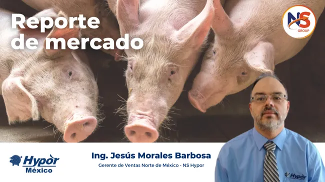 Reporte de mercado