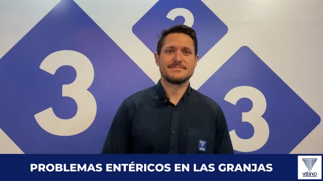 [Cápsula] Problemas intestinales en las granjas porcinas