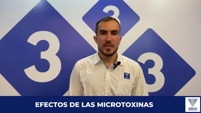 [Cápsula] Efecto de las micotoxinas en la producción porcina