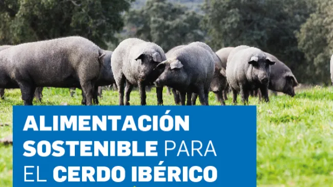 Una mayor salud digestiva con óptimos resultados productivos para tus cerdos ibéricos es posible