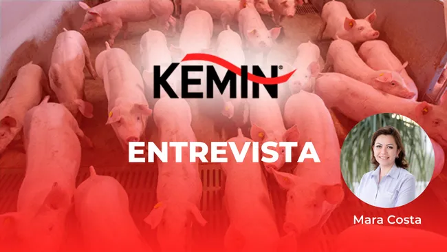 [Entrevista] Desafios da suinocultura associados à lactação - parte 01