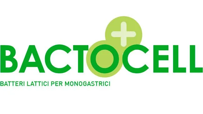 INTESTINO E EFFICIENZA 