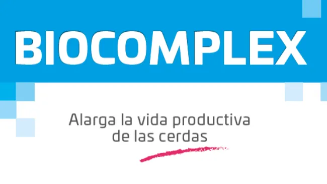 INGASO BIOCOMPLEX | Prolonga la vida reproductiva de tus cerdas