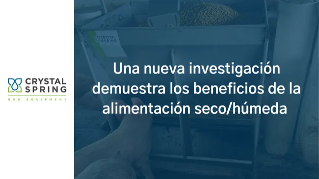 Nueva investigación sobre los beneficios de la alimentación seco/húmeda