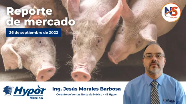Los precios de la carne de cerdo fresca tienden a la baja y los precios del tocino no se alcanzan
