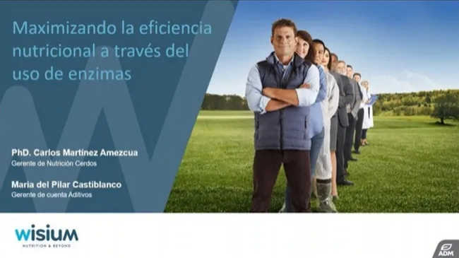 [Webinar] Maximizando la eficiencia nutricional a través del uso de enzimas