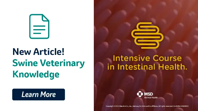 The IntestiPig Training joins the Knowledge corner on Total Pig Health website  