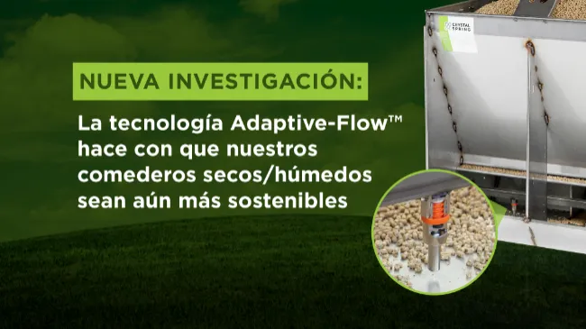 Nueva investigación sobre la sostenibilidad de nuestros comederos seco/húmedos