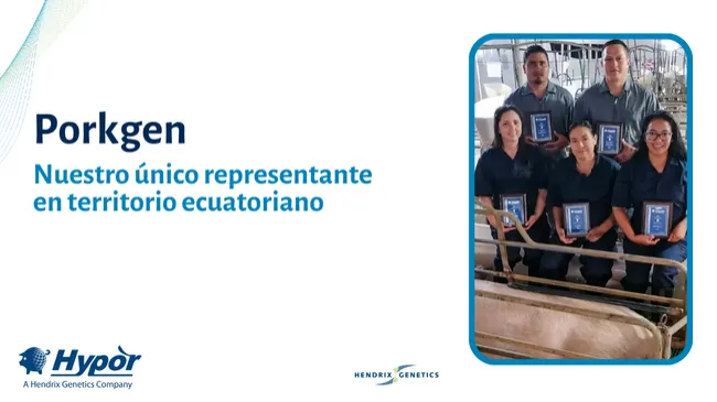 Porkgen: representante de Hypor - Hendrix Genetics en Ecuador