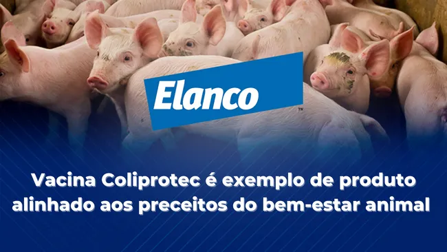 Vacina Coliprotec da Elanco contra diarreia pós-desmame em leitões, aliada ao bem-estar animal