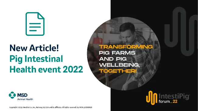 The Pig Intestinal Health event of the year took place in Valencia 