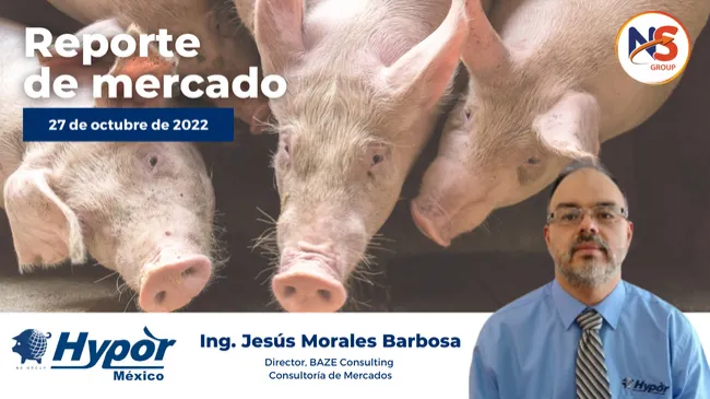 Fuertes precios del pernil americano apuntalan los precios del cerdo y carne de cerdo a corto plazo