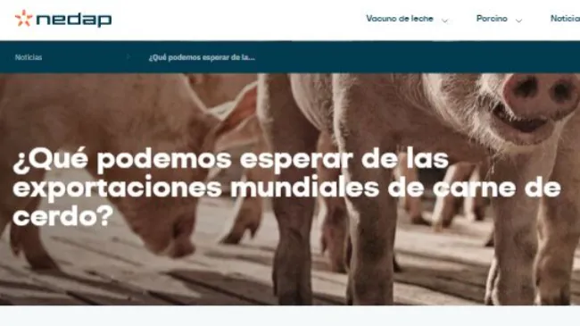 ¿Qué podemos esperar de las exportaciones mundiales de carne de cerdo?
