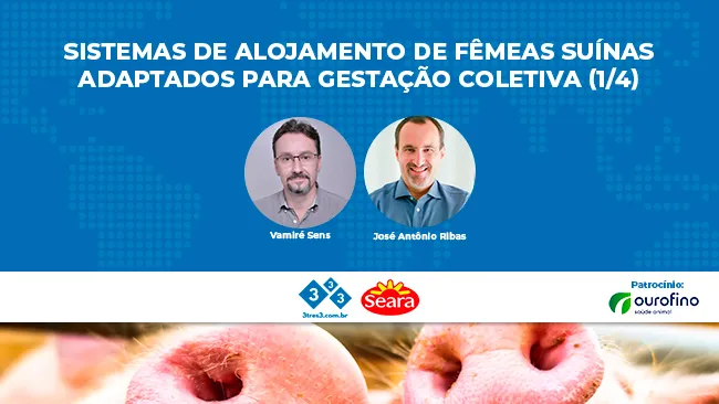 Sistemas de alojamento de fêmeas suínas adaptados para gestação coletiva (1/4)