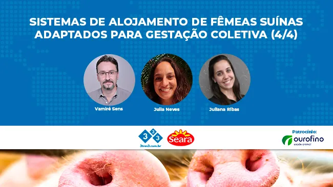 Sistemas de alojamento de fêmeas suínas adaptados para a gestação coletiva (4/4)