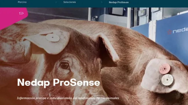 Nedap ProSense: Información precisa e individualizada del rendimiento de los animales