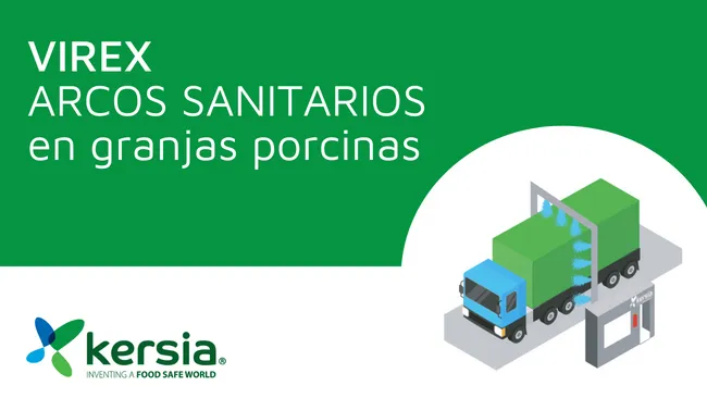 VIREX: Arcos sanitarios en granjas porcinas