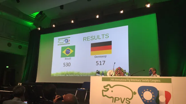Brazil will host IPVS 2020! Congratulations!