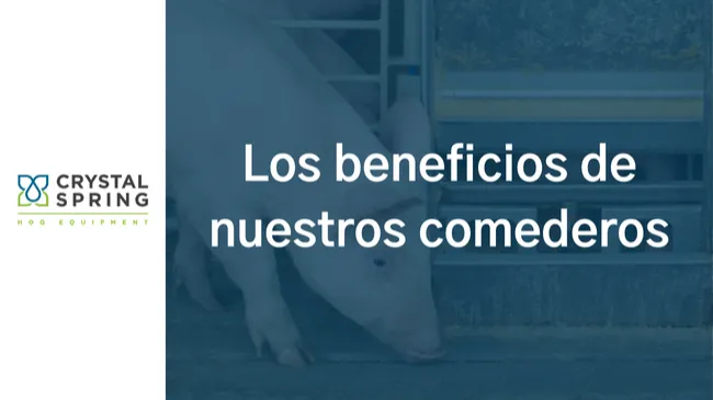 Beneficios de los comedores seco/húmedos en destete/recría