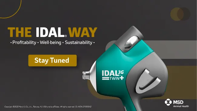 The IDAL Way