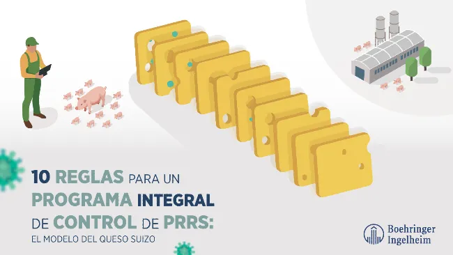 Diez reglas para un programa integral de control del PRRS – El modelo del queso suizo | Parte 1