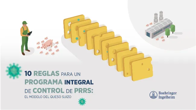 Diez reglas para un programa integral de control del PRRS – El modelo del queso suizo | Parte 2
