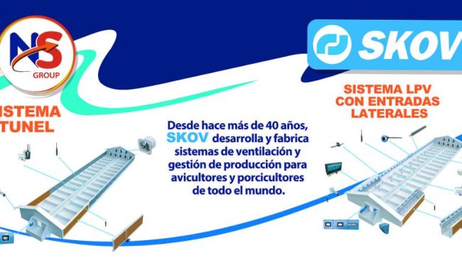 Publicación: NS Group - 3tres3 LATAM, la página del Cerdo